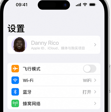 那大镇appleID维修服务iPhone设置中Apple ID显示为灰色无法使用