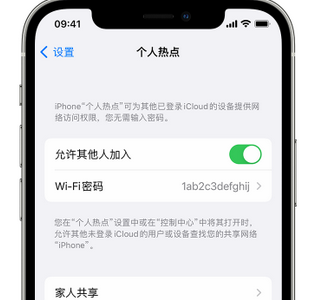 那大镇apple服务站点分享iPhone上个人热点丢失了怎么办