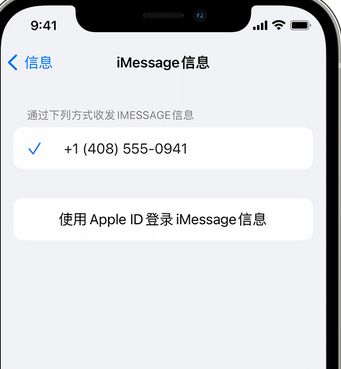 那大镇apple维修iPhone上无法正常发送iMessage信息