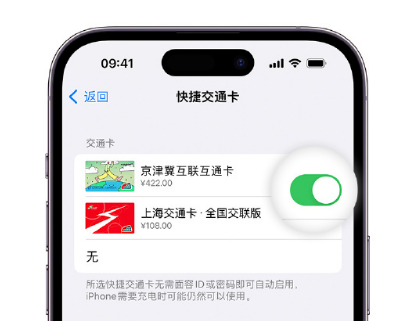 那大镇apple维修点分享iPhone上更换Apple Pay快捷交通卡手绘卡面 