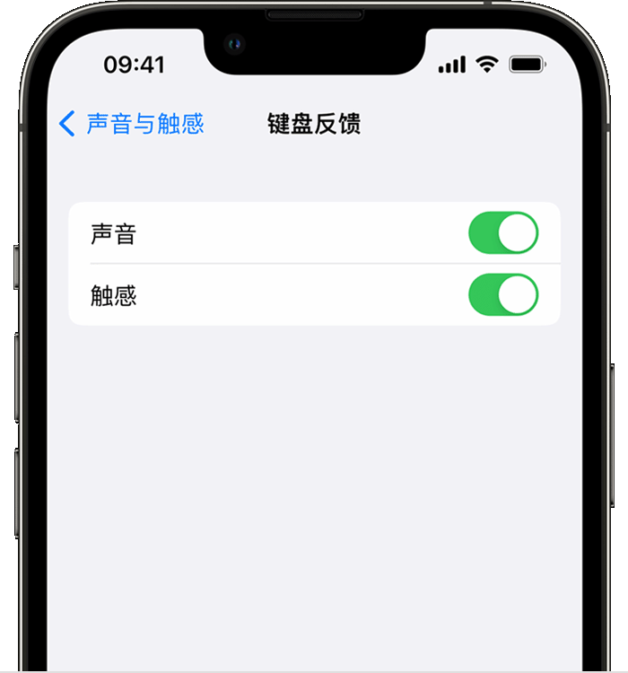 那大镇苹果14维修店分享如何在 iPhone 14 机型中使用触感键盘 