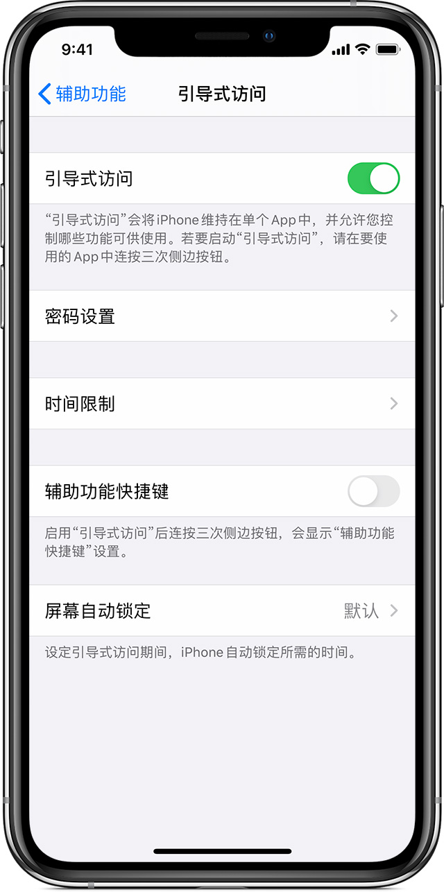 那大镇苹果手机维修分享如何在 iPhone 上退出引导式访问 