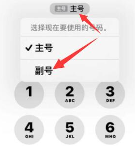 那大镇苹果14维修店分享iPhone 14 Pro Max使用副卡打电话的方法 