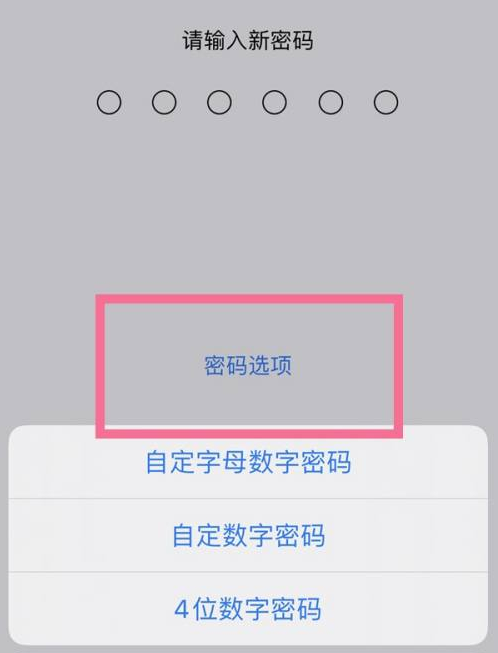 那大镇苹果14维修分享iPhone 14plus设置密码的方法 