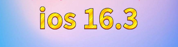 那大镇苹果服务网点分享苹果iOS16.3升级反馈汇总 