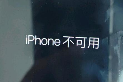 那大镇苹果服务网点分享锁屏界面显示“iPhone 不可用”如何解决 