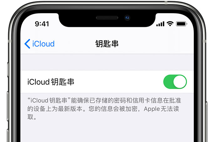 那大镇苹果手机维修分享在 iPhone 上开启 iCloud 钥匙串之后会储存哪些信息 