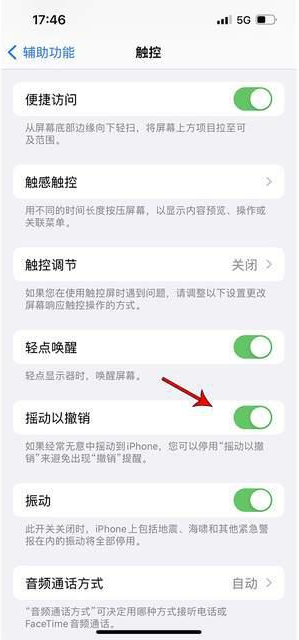 那大镇苹果手机维修分享iPhone手机如何设置摇一摇删除文字 