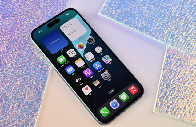 那大镇苹果手机维修分享为什么大家不喜欢苹果iPhone 16 Plus 