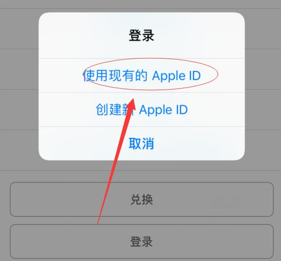 那大镇苹果手机维修分享两台iPhone设备可以同时登录一个Apple ID吗 