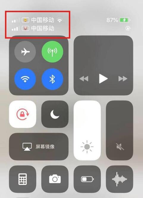 那大镇苹果手机维修分享为 iPhone 12 双卡设置标签 